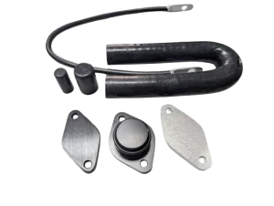 LM2 EGR Delete Kit