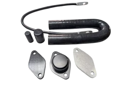 LM2 EGR Delete Kit