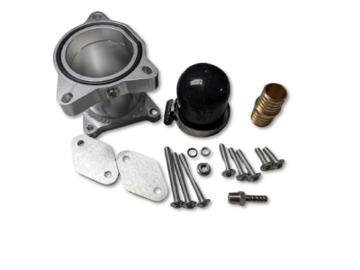 Passat EGR Delete Kit